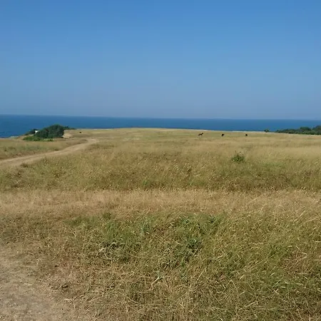 בית הארחה Holiday Kalin